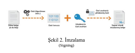 Blok Zinciri Teknolojisine Yapılan Saldırılar Üzerine bir İnceleme
